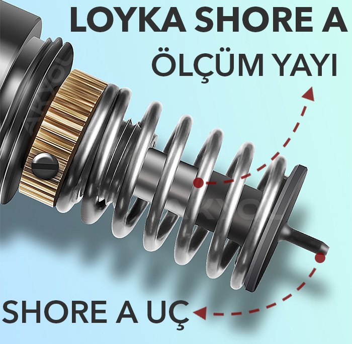 loyka shore a