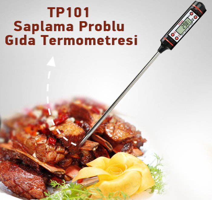 TP101 saplama problu sıcaklık ölçer